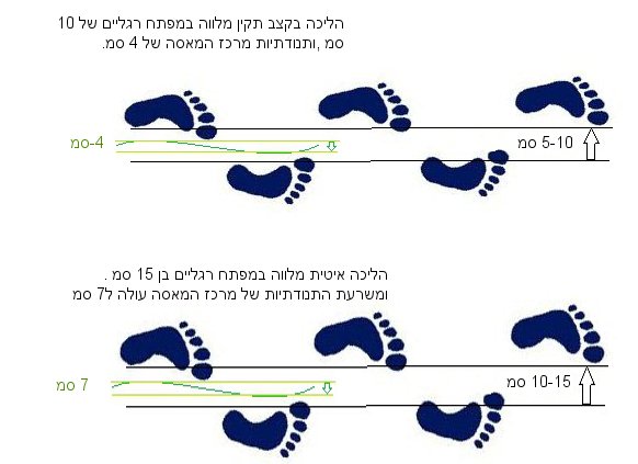 ניתוח הליכה, המרווח בין עקבות כף הרגל