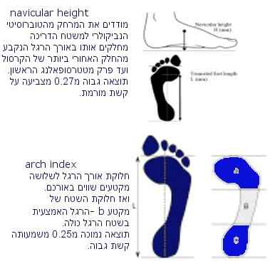 כף רגל אינדקס- איבחון סוג כף הרגל פלטפוס, כף רגל רגילה או קשת עמוקה